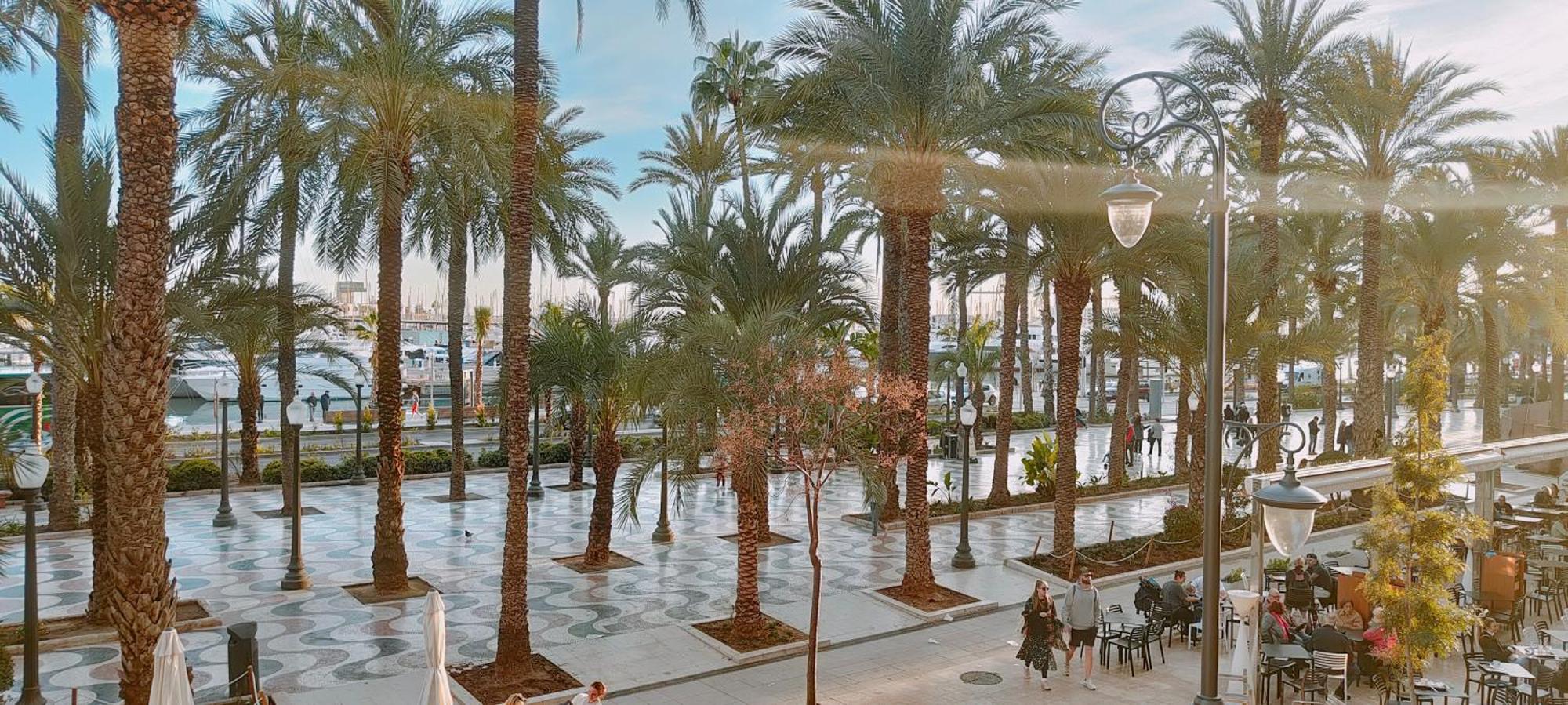 Alicantissima Marina & Beach Alicante Esterno foto
